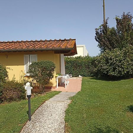 Piscina Privata Tiger Home, Toscana Capannori Luaran gambar